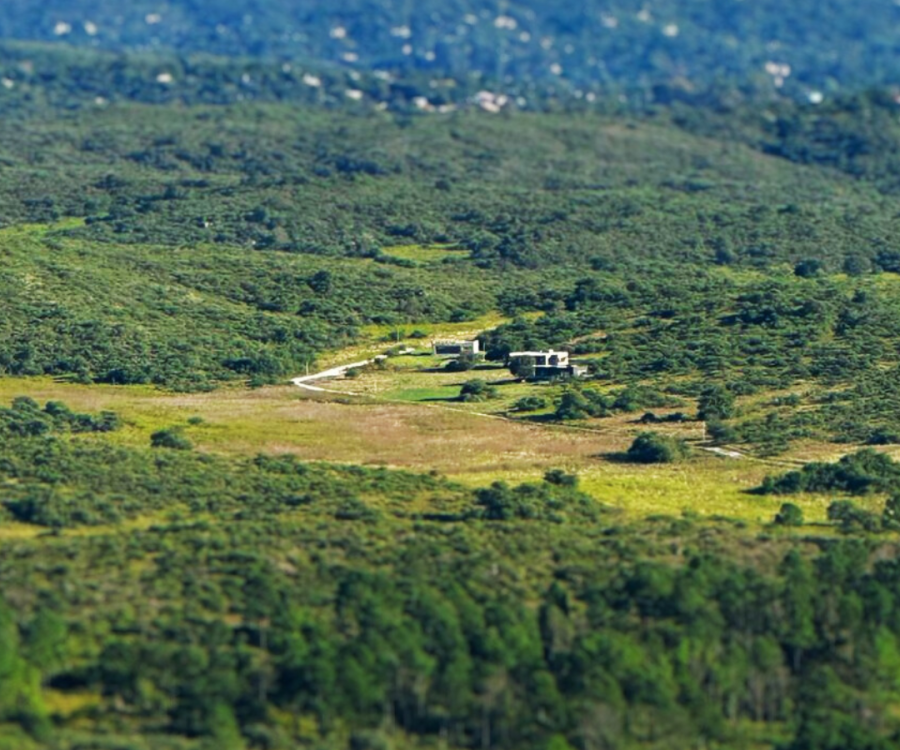 Copia de REFUGIO DE MONTAÑA BROCHURE (1080 x 1350 px) (1)